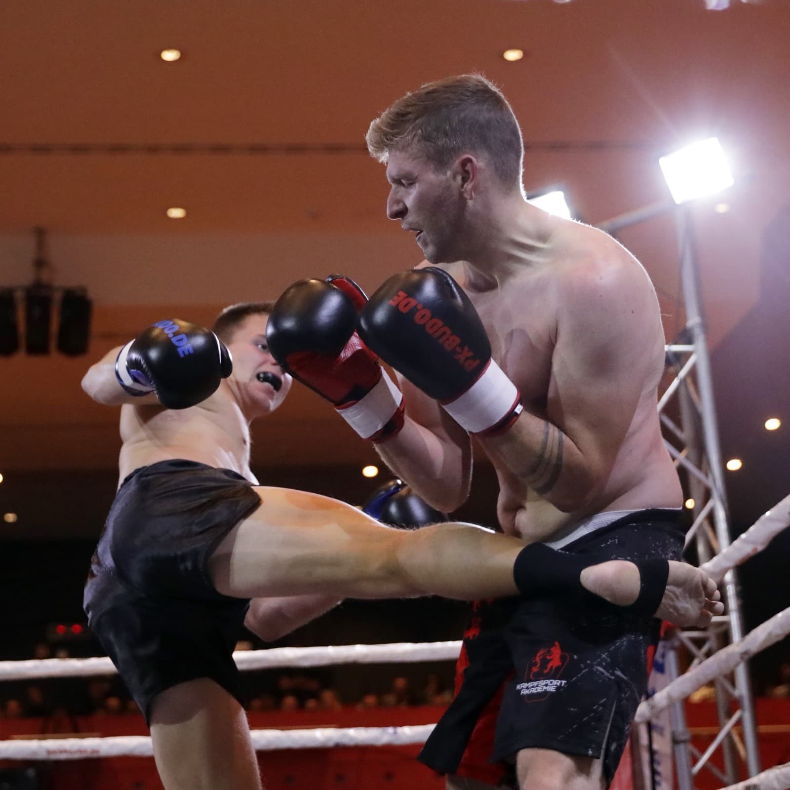 Impression der Fight Night Nürtingen